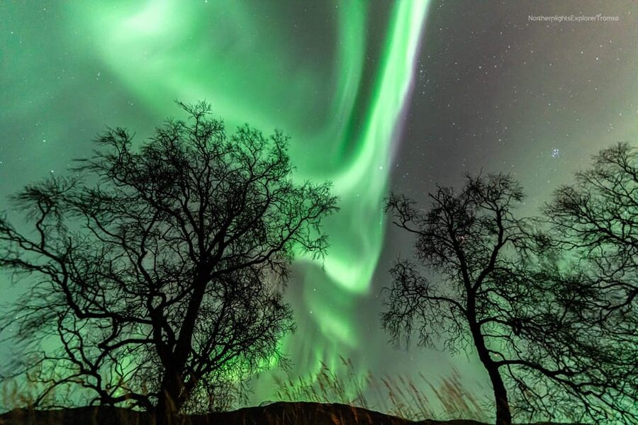 Tromsø: Northern Lights Tour w/Photo, Suits and Local Guide - Should you book the Northern Lights Tour?