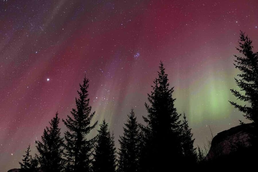 Tromsø: Northern Lights Tour with Dinner and Native Guide - Meeting Jørgen at Vestregata 51
