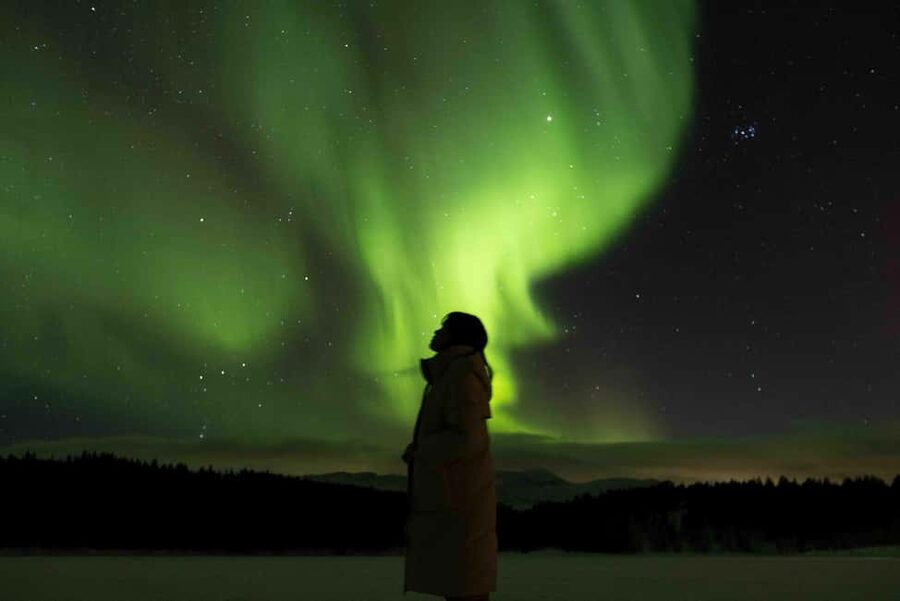 Tromsø: Northern Lights Tour with Dinner and Native Guide - A short walk to a quieter viewing place