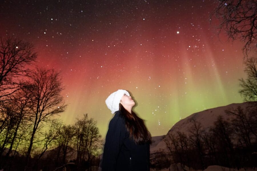 Tromsø: Northern Lights Tour with Local Guide and Photos - Waiting under the stars, with cake and brown cheese