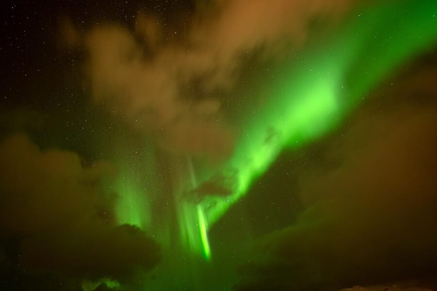 Tromsø: Northern Lights Tour with Local Guide and Photos - What the night can really deliver