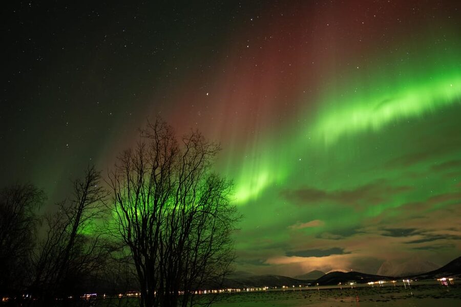 Tromsø: Northern Lights Tour with Local Guide and Photos - Who should choose this Tromsø aurora tour