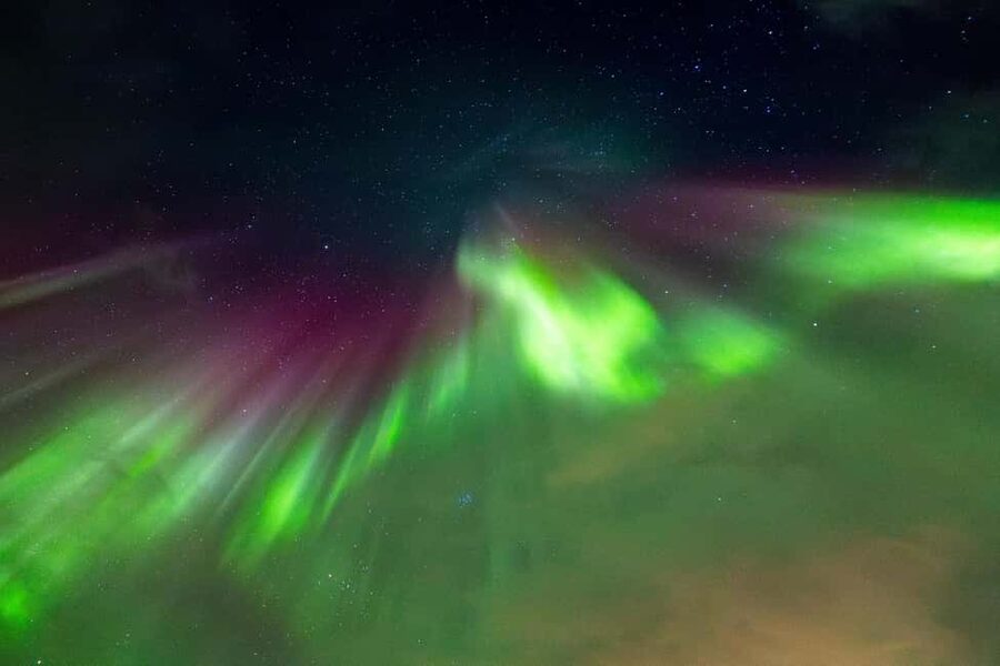 Tromsø: Northern Lights Tour with Local Stories & Photos - Is $100 a fair price?
