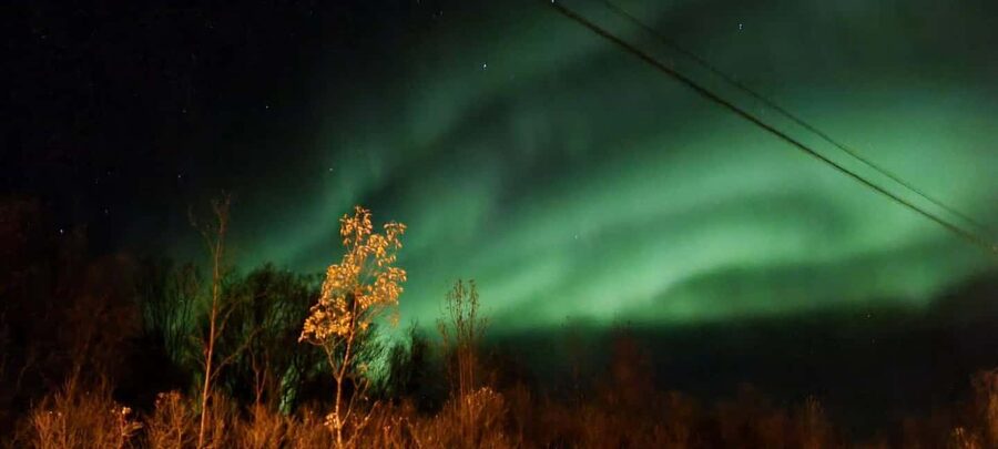 Tromsø: Northern Lights Tour with Photos & Snacks - The minibus is part of the strategy