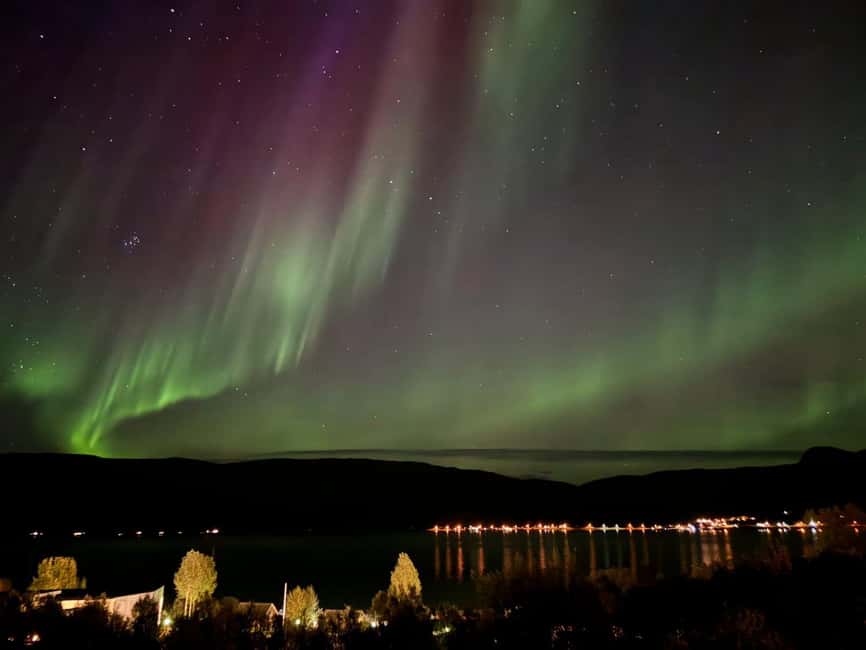 Tromsø: Northern Lights Tour with Photos & Snacks - Should you book it?