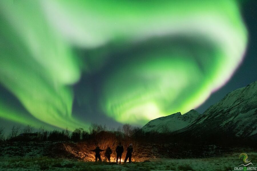 Tromsø: Northern Lights Trip with Campfire and Snacks - The campfire, cake, and Norwegian crispbread