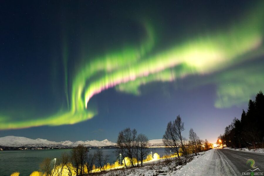 Tromsø: Northern Lights Trip with Campfire and Snacks - What the night may look like in practice