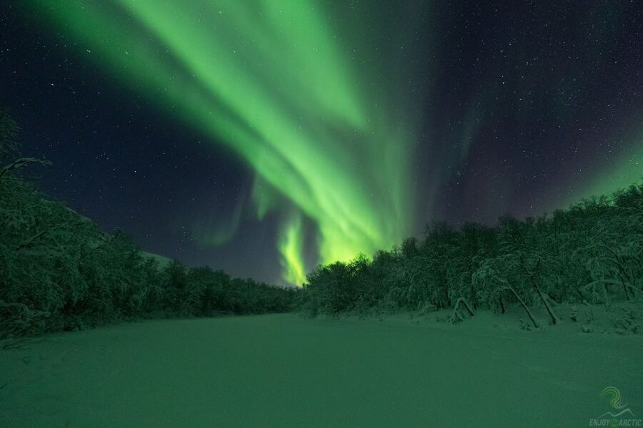 Tromsø: Northern Lights Trip with Campfire and Snacks - Should you book it?