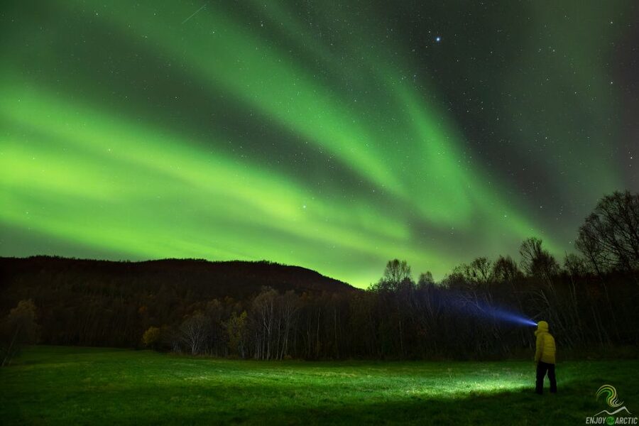 Tromsø: Northern Lights Trip with Campfire and Snacks - Why the guide matters more than the forecast app
