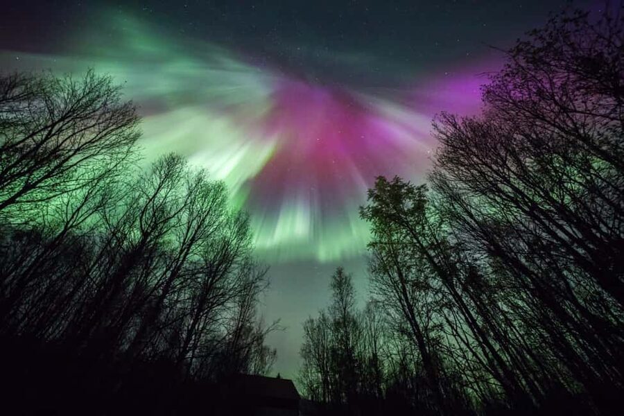 Tromsø: Premium Northern Lights Chase with Free Photos - Campfire food, hot chocolate, and a useful break from the cold
