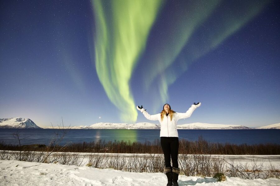 Tromsø: Private 6-Hour Aurora Chase by Minivan - Into the night by private minivan