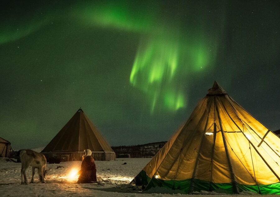 Tromsø: Reindeer Camp Dinner with Chance of Northern Lights - What arrives on the dinner plate