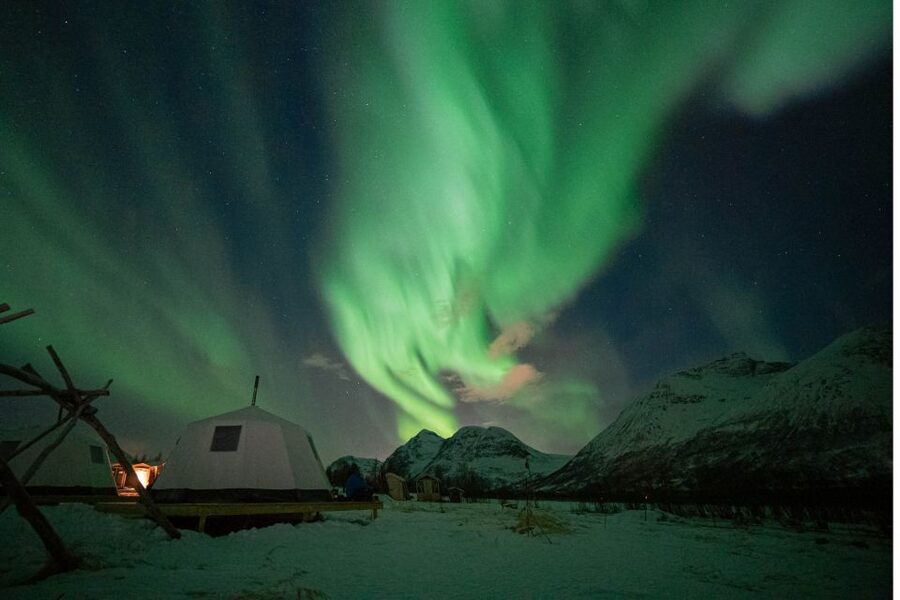 Tromsø: Reindeer Feeding & Chance of Northern Lights Viewing - From Tromsø to the reindeer camp at Breivikeidet