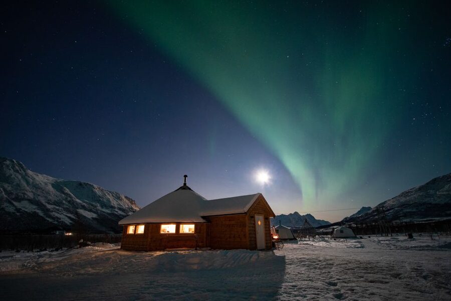 Tromsø: Reindeer Feeding & Chance of Northern Lights Viewing - Meeting the reindeer in the feeding enclosure