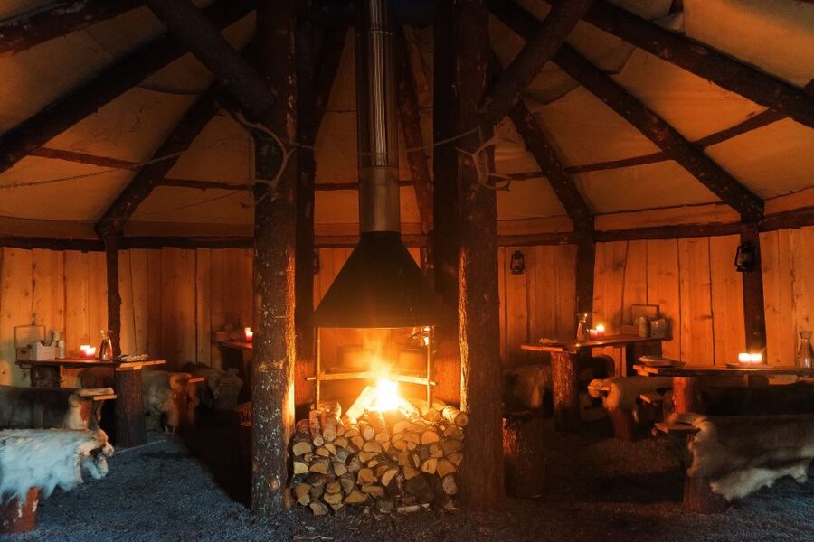 Tromsø: Reindeer Sled, Dinner, and Chance of Northern Lights - Why the reindeer feeding is the evening’s main event