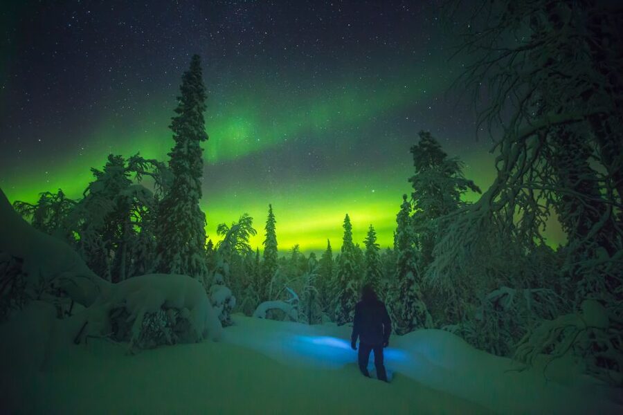 Tromsø: Reindeer Sled, Dinner, and Chance of Northern Lights - Should you book it?