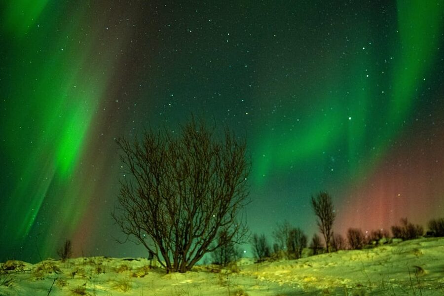 Tromsø: Small-Group Adventurous Northern Lights Hunt - Why this Northern Lights chase feels different