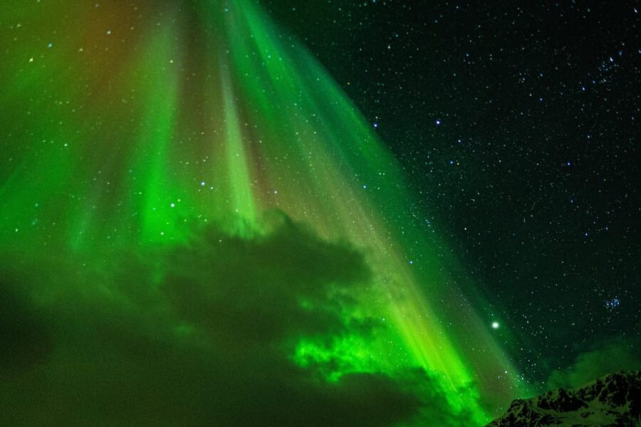 Tromsø: Small-Group Adventurous Northern Lights Hunt - Dressing for a long night outside