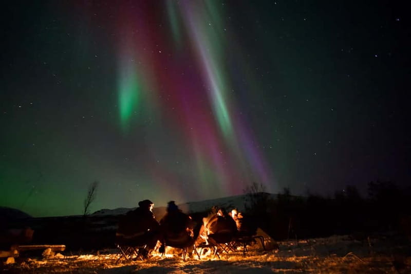 Tromsø: Small-Group Northern Lights Tour by Minibus - Key points to know before booking