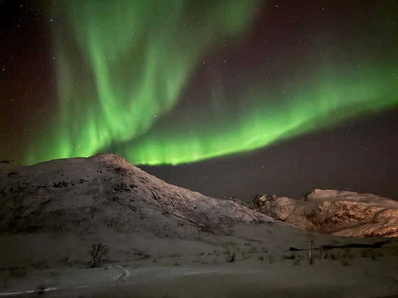 Tromsø: Small-Group Northern Lights Tour by Minibus - The bonfire, hot dogs, and Arctic warmth