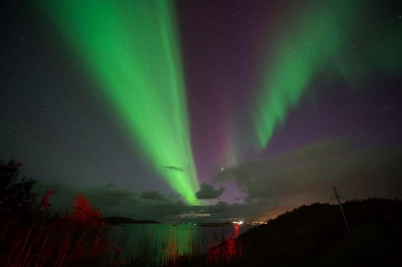 Tromsø: Small-Group Northern Lights Tour by Minibus - Your guide is a large part of the experience