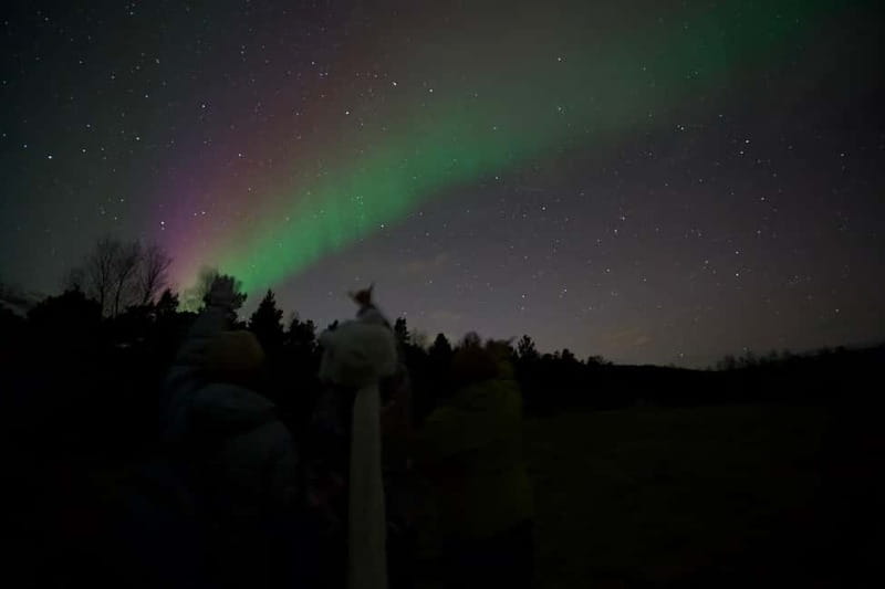 Tromsø: Small-Group Northern Lights Tour by Minibus - What the $251 price really covers