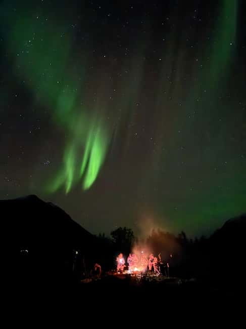 Tromsø: Small-Group Northern Lights Tour by Minibus - Who should book this six-hour chase