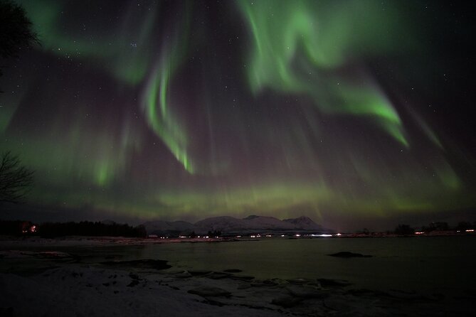 Watching The Aurora Dance - Photos from the night