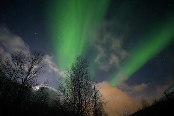 Watching The Aurora Dance - How the time and price work for you