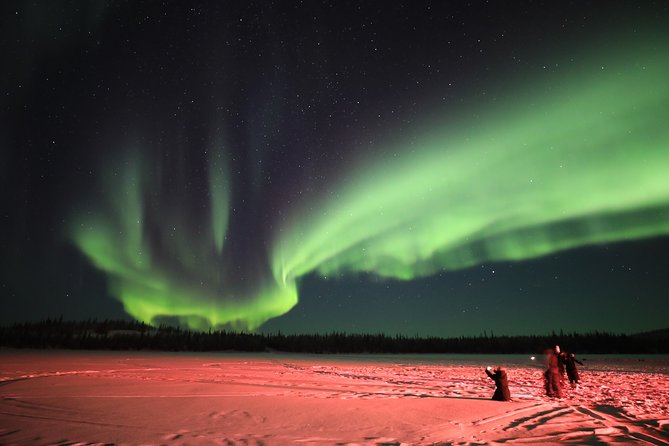 Yellowknife Tours - Aurora by bus - Key points to know before you go