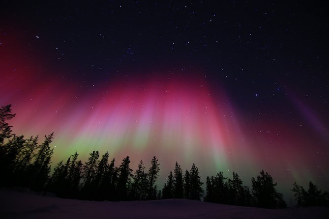Yellowknife Tours - Aurora by bus - Yellowknife River: the final chance for a clear sky