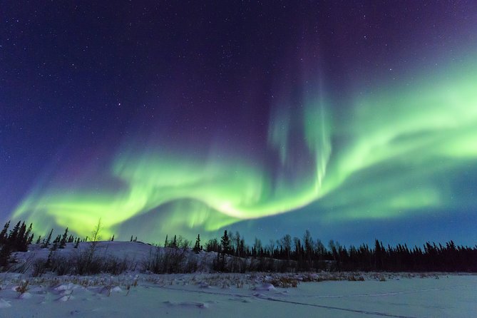 Yellowknife Tours - Aurora by bus - What the guides actually add