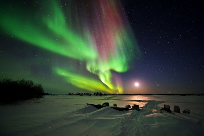 Yellowknife Tours - Aurora by bus - How much value do you get for $102.89?