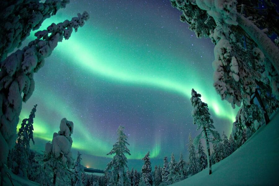 Ylläs: Seeking Northern Lights Photo Tour - Key points before you book