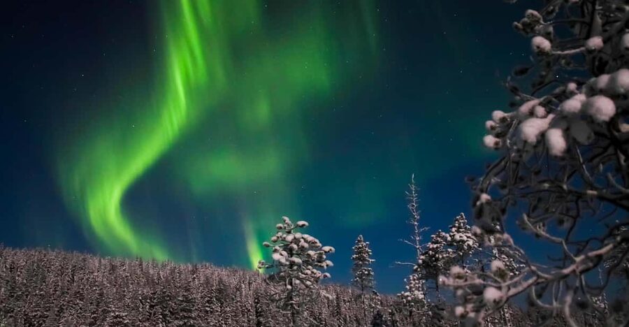 Ylläs: Seeking Northern Lights Photo Tour - Hot drinks, gingerbread, and the cold factor