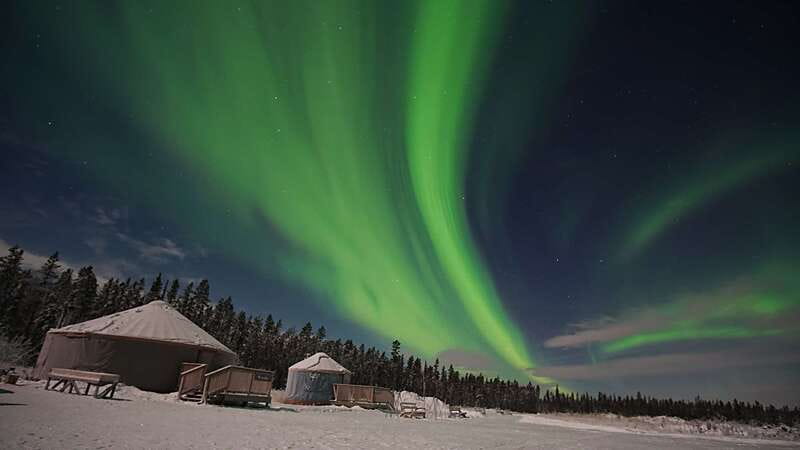 Yukon: Aurora Borealis Late Night Viewing Tour - Understanding the Northern Lights while you wait